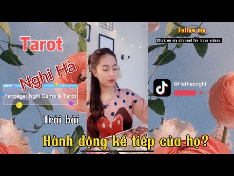 Top 6 quán cafe xem bói bài tarot tại Hà Nội chuẩn nhất 2022